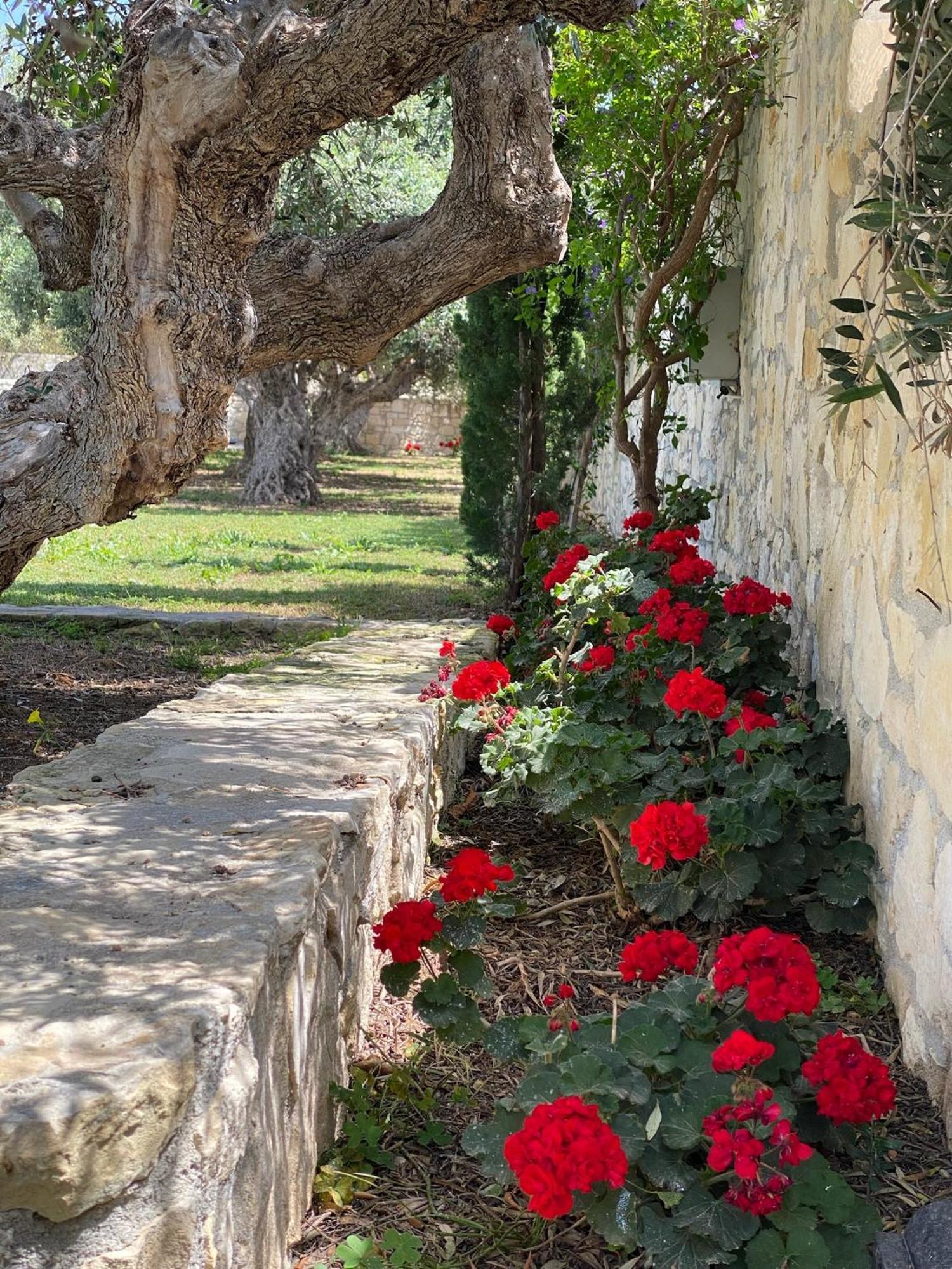 Villa Marmelada Ierapetra  Exterior photo