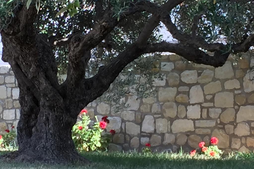 Villa Marmelada Ierapetra  Exterior photo